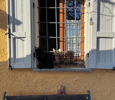 Montecalvo Versiggia Cama Y Desayuno | La casa tra i vigneti