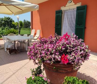 Rezza Apartamento | La casa tra verde e mare
