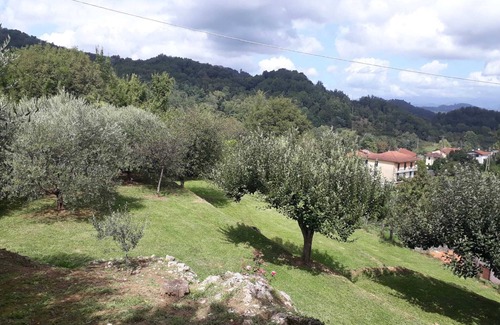 Ricco del Golfo di Spezia Cabaña | "La casetta di Bianca". CITRA 011023-LT-0048