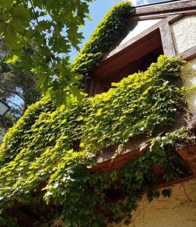 Navacerrada Chalet De Esquí | La Casita de Navacerrada