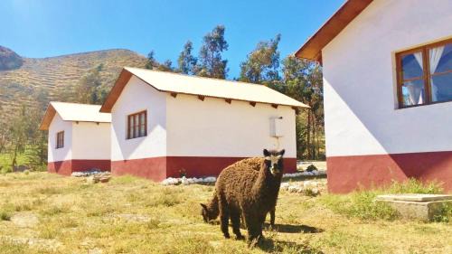 Putre Cabina | La Chakana Lodge