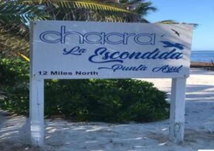 San Pedro Villa | La Chakra. A Stunning Ocean View Tropical Cottage!