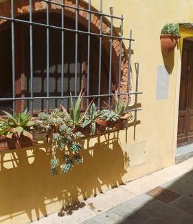 Rosignano Marittimo Apartamento | La cicala