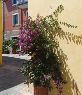 Rosignano Marittimo Apartamento | La cicala