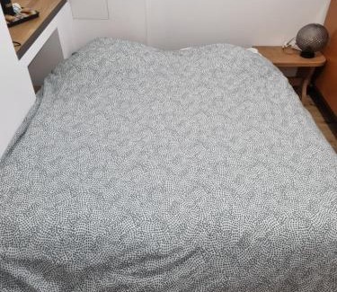 Selestat Apartamento | La cigogne d'Alsace 3