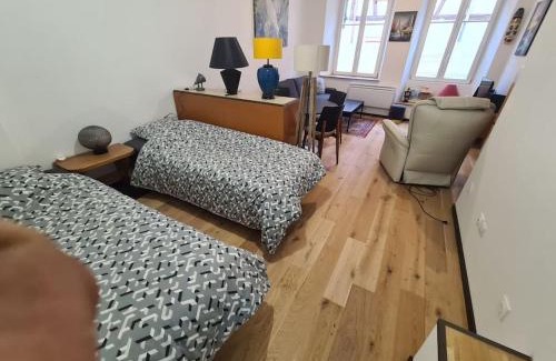 Selestat Apartamento | La cigogne d'Alsace 3