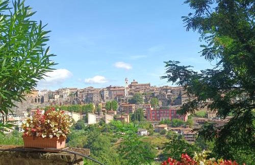 Orte Casa | La Civetta - Casa vacanze Orte