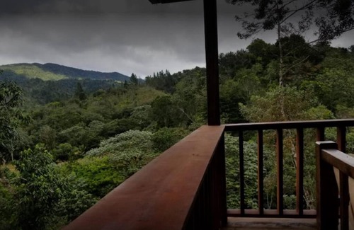 Constanza Casa | La Colmena del Arroyazo