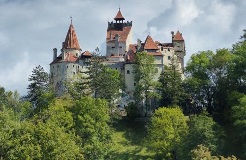 Bran Casa | La Conac 13 Ceasuri Bune