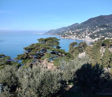 Camogli Cama Y Desayuno | La CONCHIGLIA Bed & Breakfast