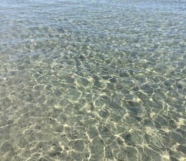 Vada Apartamento | La Conchiglia sul Mare