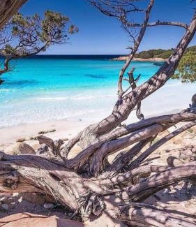 Vada Apartamento | La Conchiglia sul Mare