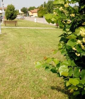 Cavalcaselle Apartamento | La Cornice del Garda