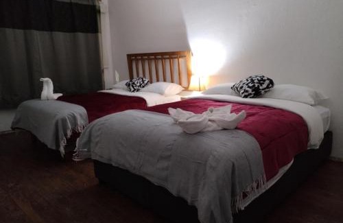 Coyoacán Casa | La Cortesana