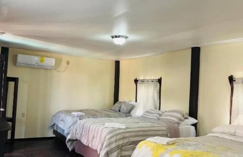 Corozal Hotel | La Delphina Bed and Breakfast Bar and Grill Deluxe Family Room