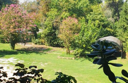 Porto Viro Apartamento | La DOGARESSA