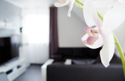 Lotte Apartamento | La Domus Premium Osnabrück Lotte