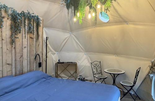 Willems Cama Y Desayuno | La Ferme 1851 - Cabane Spa Nordique privé vue sur champ