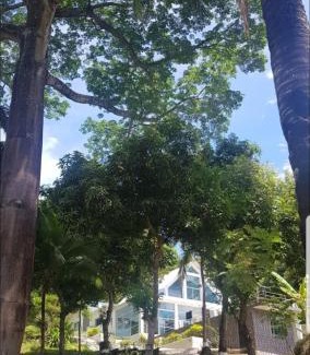 Prado Casa | LA FLORESTA ISLA DEL SoL