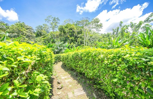 Barrio Pilo Casa | La Fortuna