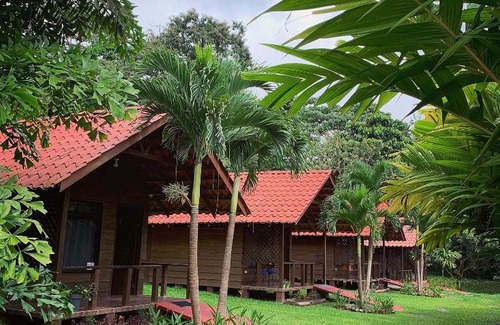 La Fortuna Chalet De Esquí | La Fortuna Waterfall Bungalows
