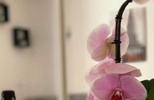 Charolles Apartamento | La Garçonnière
