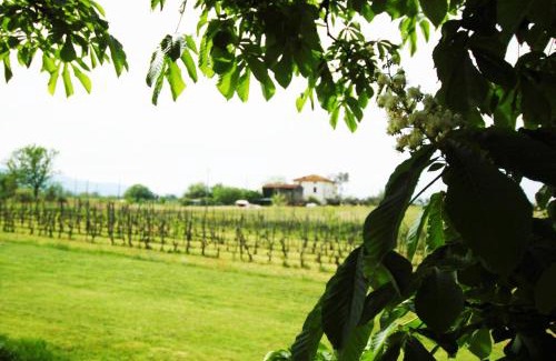Orentano Cama Y Desayuno | La Ginestra