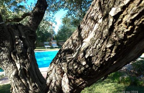 Trani Cama Y Desayuno | La Ginestra