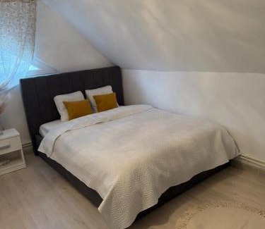 Calafat Casa | La Grădină
