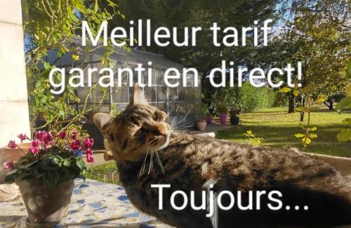 Saint-Genouph Cama Y Desayuno | La Grange Dîmière, près de Tours
