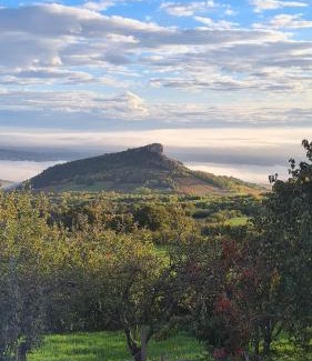 Solutre-Pouilly Cama Y Desayuno | La Grange du bois