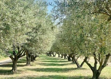Bonnieux Casa | La grange du Luberon