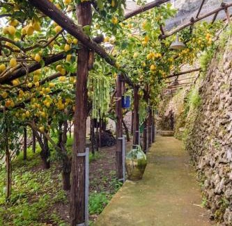 Minori Casa | #La limonaia della torretta