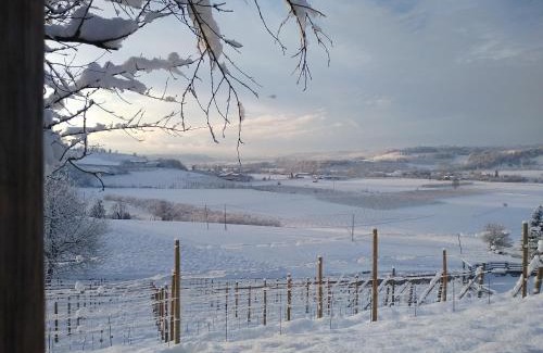 Novello Casa | La Locanda del Nocciolo