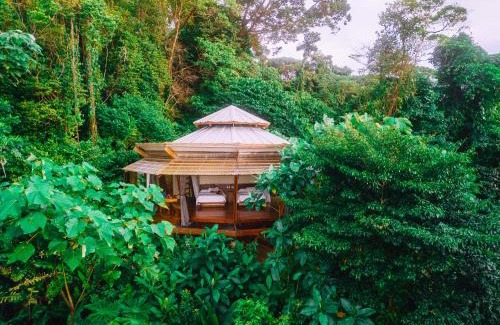 Isla Bastimentos Hotel | La Loma Jungle Lodge and Chocolate Farm