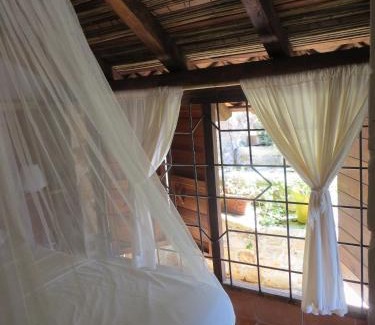 San Pedro Pochutla Hotel | LA LOMA LINDA, Bungalows, Yoga and Feldenkrais, STARLINK INTERNET