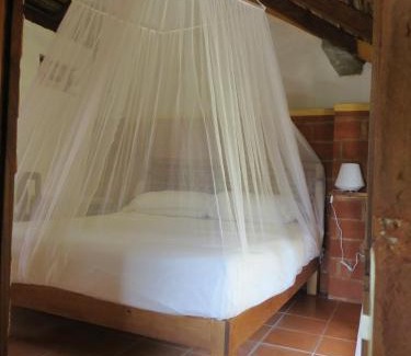 San Pedro Pochutla Hotel | LA LOMA LINDA, Bungalows, Yoga and Feldenkrais, STARLINK INTERNET
