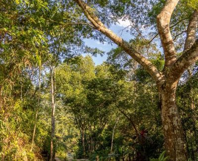 Paraty Chalet De Esquí | La Luciole Ecolodge