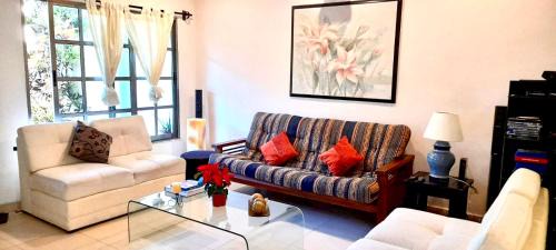 Alfredo V. Bonfil Casa | La Maison BLEUE