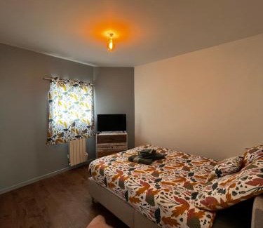 Pont-du-Chateau Apartamento | La maison castelpontine T3