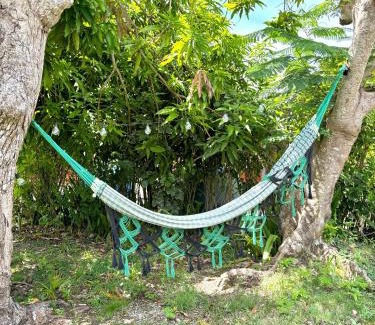 Anse-Bertrand Casa | La Maison Créole du Flamboyant - Proche des Plages