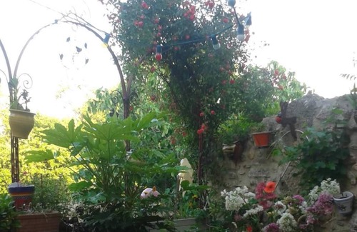 Ferrals-les-Corbieres Casa | La Maison De Josepha