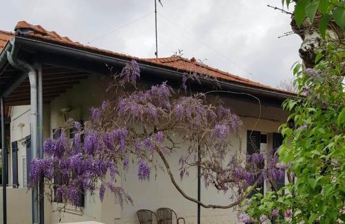 Lanton Casa | La maison d Irma à plage à 700 m