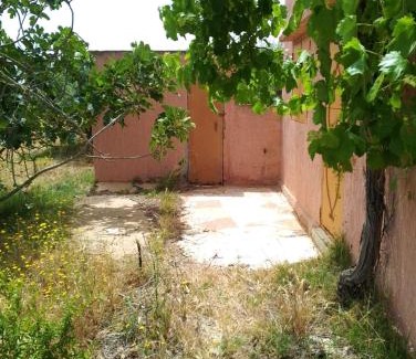 Ain Johra Otro | la maison du belmokhtar Mansour