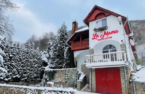 Pietroasa Casa | La Mama