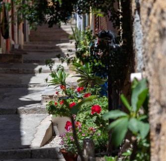 Termini Imerese Casa | La mia deliziosa Casetta di giù