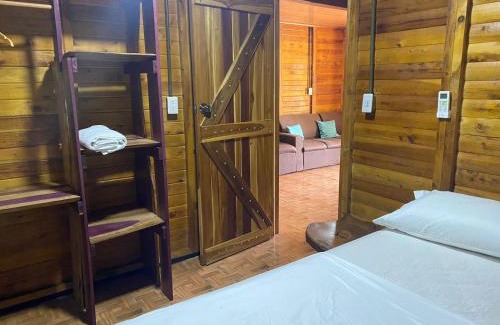 Palma Casa | La Mochis #2