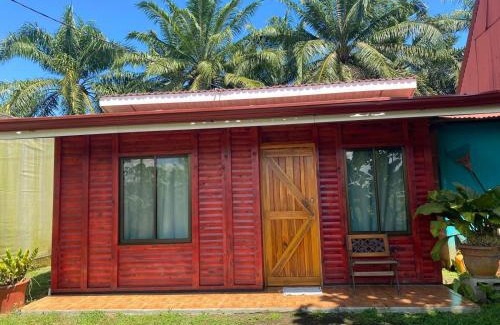 Palma Casa | La Mochis