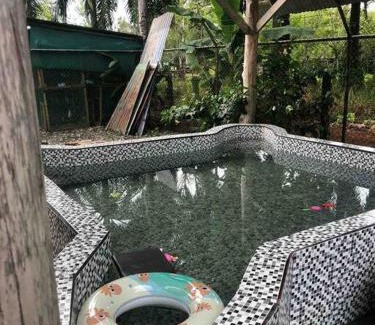 Palma Casa | La Mochis
