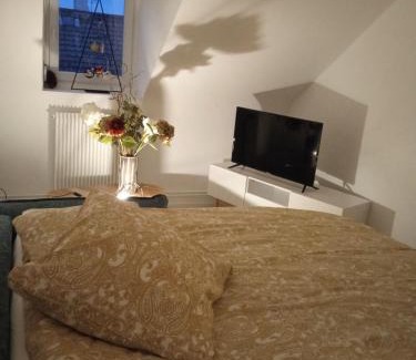 Mulhouse Apartamento | La Mulhousienne F3 Centre ville